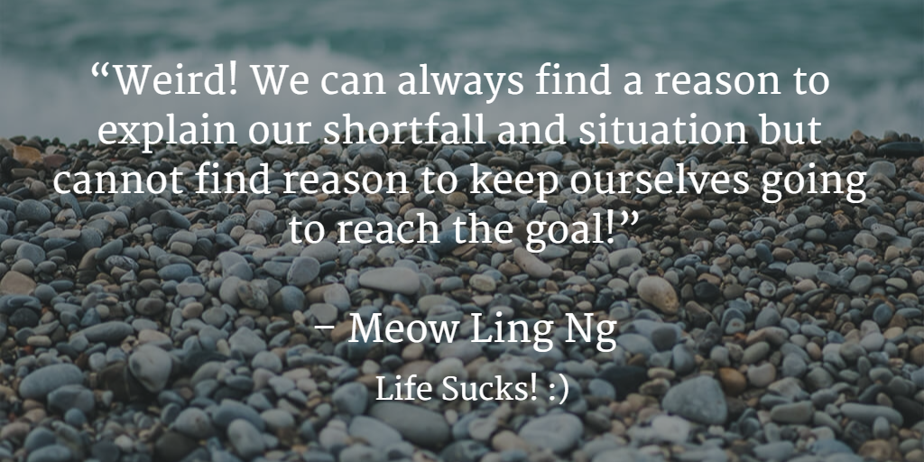 Finding Reason. Meow Ling Ng, Life Sucks!
